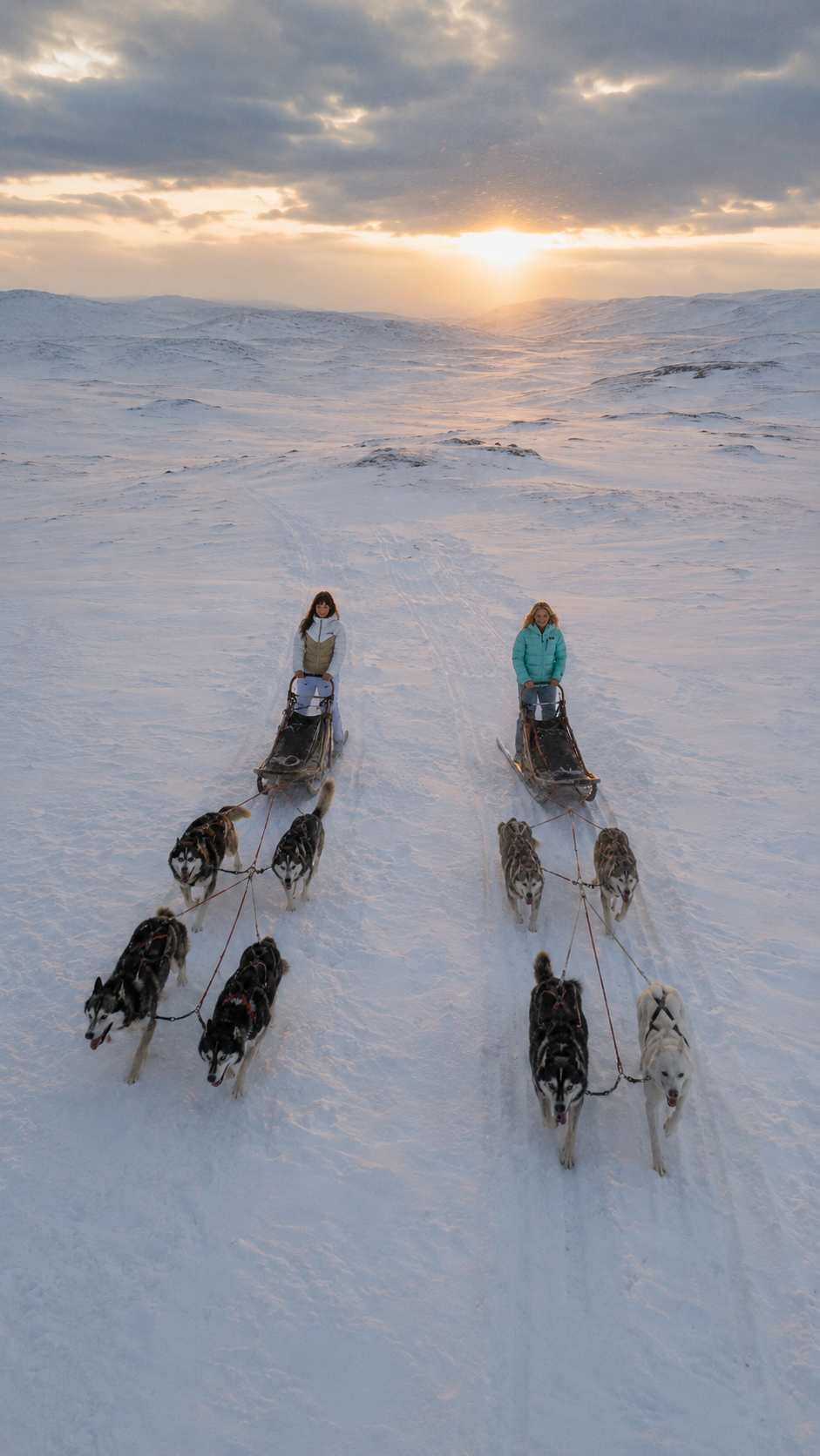 Aerial view of Vera and Mila dog sledding across the Greenlandic tundra at sunset